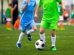 PRO,艾尔莎,助力老树新,开云体育,开云体育官网,开云体育app,开云体育平台,KAIYUN,SPORTS,kaiyun登录入口