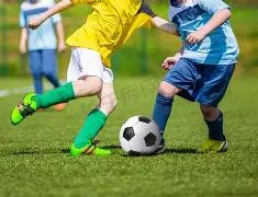 拜仁德甲,场不败,仅剩,开云体育,开云体育官网,开云体育app,开云体育平台,KAIYUN,SPORTS,kaiyun登录入口