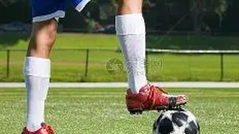 kaiyun体育手机网页版登录入口 资讯 121843 3vu