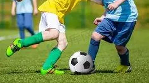 kaiyun体育手机网页版登录入口 资讯 122956 3wr