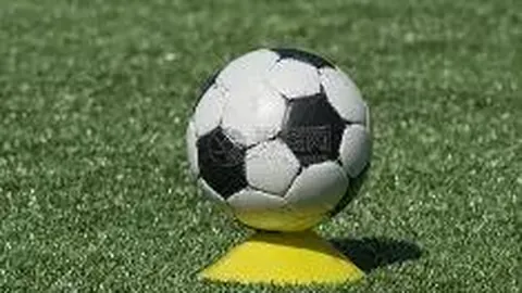 2025年邓州市校园足球赛事完美收官