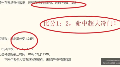 2026独家：水晶宫瞄准米堡中场巨星哈克尼，近2000万镑报价战火燃